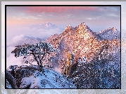 Korea Południowa, Prowincja Gyeonggi-do, Park Narodowy Bukhansan, Góry, Zima, Ośnieżone, Skały, Kamienie, Drzewa, Sosna