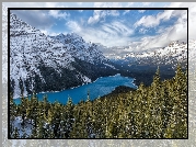 Park Narodowy Banff, Góry Canadian Rockies, Jezioro Peyto Lake, Lasy, Drzewa, Zima, Kanada