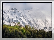 Zaśnieżone, Góry Karawanki, Ośnieżony, Szczyt Begunjscica, Śnieg, Kościół św. Piotra, Drzewa, Begunje na Gorenjskem, Słowenia