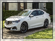 Acura TLX