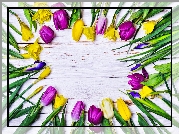 Kwiaty, Tulipany, Żonkile, Irysy