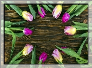 Okrąg, Kolorowe, Tulipany, Brązowe, Deski