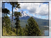 Góra, Wulkan Llaima, Drzewa, Araukarie chilijskie, Park Narodowy Conguillio, Chile