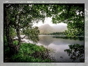 Drzewa, Jezioro Pollacapall, Góry, Galway, Region Connemara, Irlandia