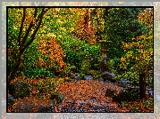 Ogród japoński, Drzewa, Krzewy, Jesień, Portland Japanese Garden, Portland, Oregon, Stany Zjednoczone