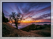 Wschód słońca, Chmury, Drzewo, Wzgórza, Mgła, Dolina Livermore Valley, Kalifornia, Stany Zjednoczone