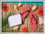 Muszelki, Kwiaty, Hibiskus, Klapki, Tablet, Wakacje