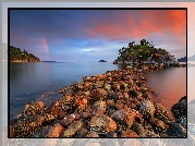 Morze, Kamienie, Drzewa, Whytecliff Park, West Vancouver, Vancouver, Kanada