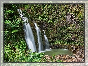 Las, Wodospad Upper Waikani Falls, Skały, Drzewa, Roślinność, Maui, Hawaje