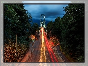 Most, Lions Gate Bridge, Noc, Światła, Drzewa, Vancouver, Kanada