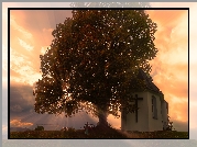 Drzewo, Przebijające światło, Ławeczka, Kaplica, Kościółek