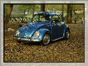 Volkswagen Beetle, Garbus, Park