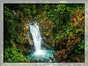 Wodospad Neidong Falls, Omszałe, Skały, Krzewy, Drzewa, Roślinność, Dzielnica Wulai, Nowe Tajpej, Tajwan