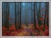 Jesień, Bezlistne, Drzewa, Las, Mgła