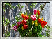 Kwiaty, Bukiet, Kolorowe, Tulipany