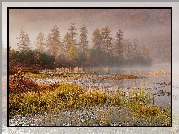 Jesień, Mgła, Drzewa, Kępki, Trawy, Szuwary, Jezioro Jack London, Kołyma, Obwód magadański, Rosja