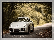 Porsche Cayman S, Droga