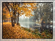 Rzeka, Drzewa, Poranek, Mgła, Jesień