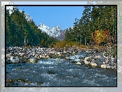 Rzeka Baksan, Las, Góry, Kaukaz, Kamienie, Kabardo-Bałkaria, Rosja