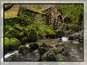 Rzeka, Młyn wodny, Omszałe, Kamienie, Borrowdale, Cumbria, Anglia