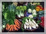 Warzywa, Ogórki, Marchewki, Rzepa, Kalafior, Brokuły, Papryka, Rzodkiewka, Czosnek, Sałata