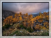 Jesień, Drzewa, Góry, Alpy Julijskie, Mgła, Szczyt Slemenova Spica, Słowenia