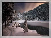 Zima, Noc, Jezioro Fusine Lake, Drzewa, Lasy, Góry, Alpy Julijskie, Włochy