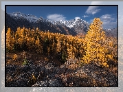 Góry, Ałtaj, Jesień, Drzewa, Dolina, Republika Ałtaju, Rosja
