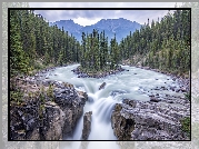 Wodospad Sunwapta Falls, Rzeka Sunwapta, Park Narodowy Jasper, Góry, Drzewa, Prowincja Alberta, Kanada