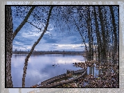 Jezioro Fermentelos, Jesień, Łódka, Drzewa, Gmina Agueda, Portugalia