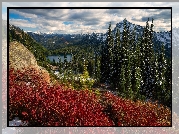 Stany Zjednoczone, Stan Waszyngton, Park Narodowy Mount Rainier, Góry, Lasy, Jezioro, Drzewa, Chmury