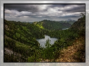 Lasy, Jezioro Langbathseen, Góry, Austria