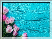 Różowo-białe, Tulipany, Niebieskie, Deski