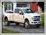 Ford Super Duty, F-450 Platinum Crew Cab