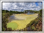 Nowa Zelandia, Wai-O-Tapu, Źródła termalne, Gejzer, Drzewa