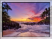 Hawaje, Wyspa Maui, Morze, Zachód słońca, Palmy