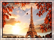 Jesień, Wieża Eiffla, Gałązki, Liście, Paryż, Francja