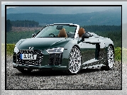 Audi R8 Spyder, Kabriolet