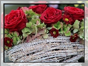 Kwiaty, Czerwone, Róże, Hortensje, Koszyk
