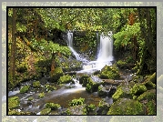 Wodospad, Horseshoe Falls, Skała, Omszałe, Kamienie, Paprocie, Las, Rzeka, Park Narodowy Mount Field, Stan Tasmania, Australia