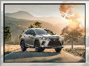 Lexus RX 350 F, Droga