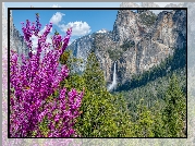 Drzewa, Góry, Sierra Nevada, Wodospad, Bridalveil Fall, Park Narodowy Yosemite, Kalifornia, Stany Zjednoczone