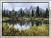 Park Narodowy Grand Teton, Jezioro, Góry Teton Range, Drzewa, Trawy, Odbicie, Stan Wyoming, Stany Zjednoczone