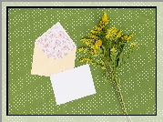Kwiaty, Nawłoć, Koperta, Kartka, Zielone tło