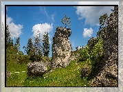 Skały, Kamienie, Trawa, Drzewa, Dolina, Wen Valley, Jura Szwabska, Niemcy