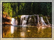 Las, Drzewa, Wodospad Lower Lewis River Falls, Omszałe, Skały, Rzeka, Osada Cougar, Stan Waszyngton, Stany Zjednoczone