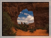 Skały, Rośliny, Park Narodowy Arches, Stan Utah, Stany Zjednoczone