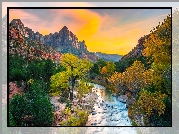 Stany Zjednoczone, Stan Utah, Park Narodowy Zion, Góry Watchman, Rzeka Virgin River, Kamienie, Drzewa, Wschód słońca