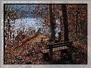 Jesień, Jezioro, Drzewa, Ławki, Liście