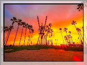 Stany Zjednoczone, Kalifornia, Venice Beach V Sculpture, Morze, Palmy, Zachód słońca